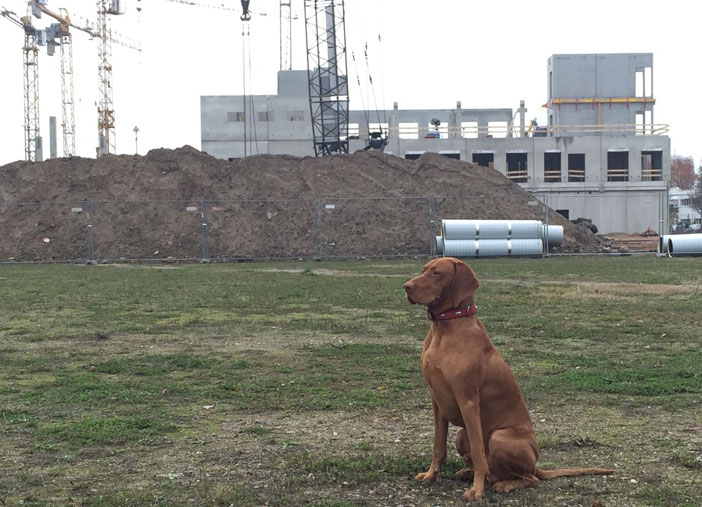 CMC-Baustelle November