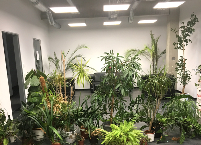 CMC im Dezember 2017